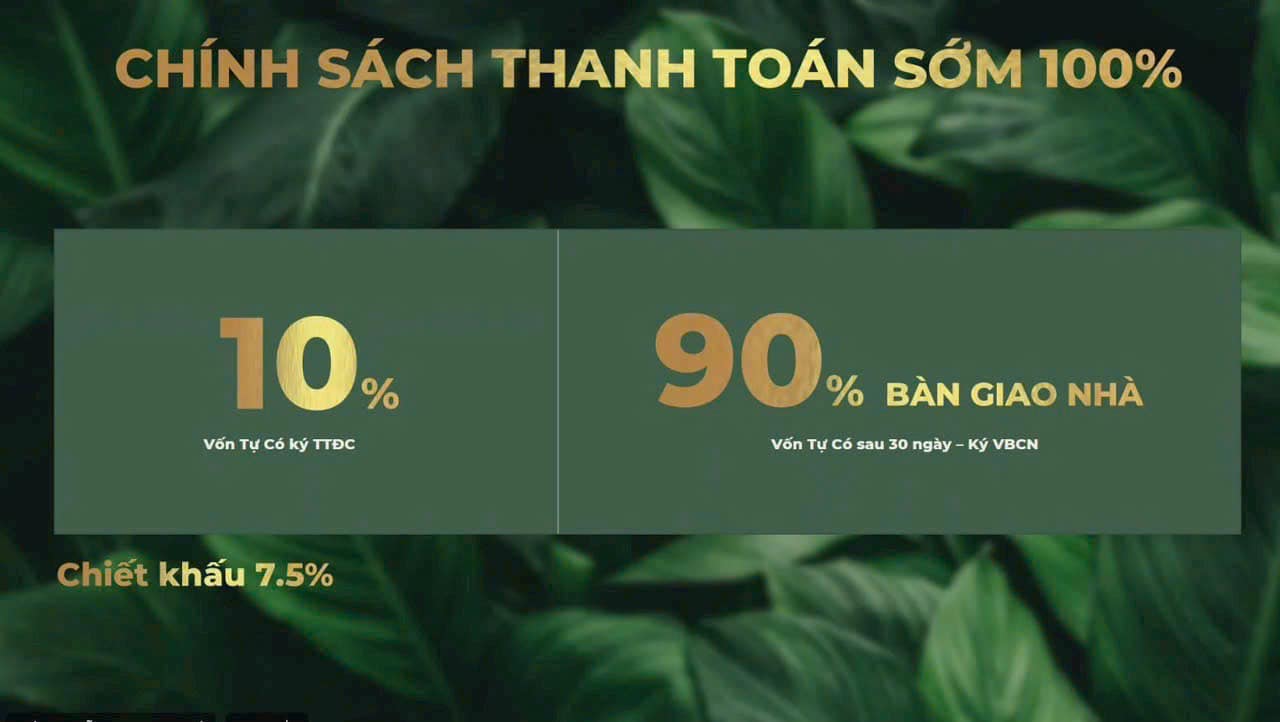 486139568_1020251803495735_8395270471585223278_n 486139568_1020251803495735_8395270471585223278_n