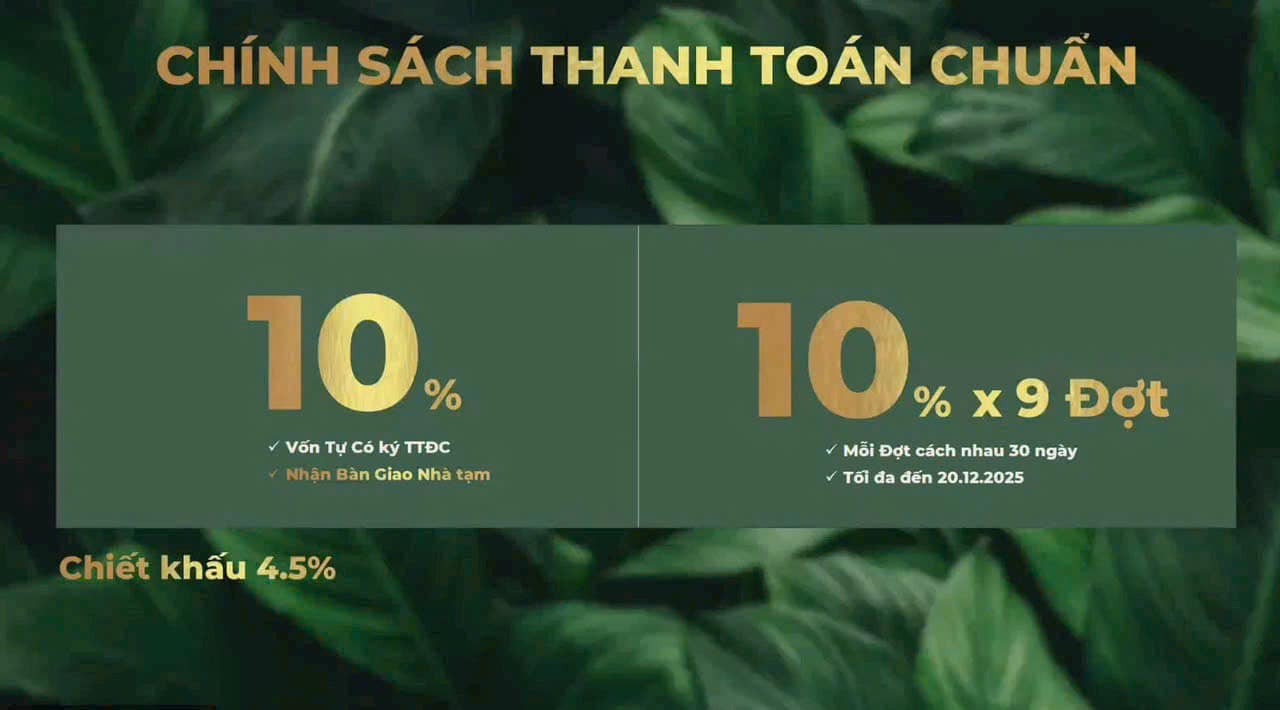 486523131_1020253770162205_2207767259270316608_n 486523131_1020253770162205_2207767259270316608_n