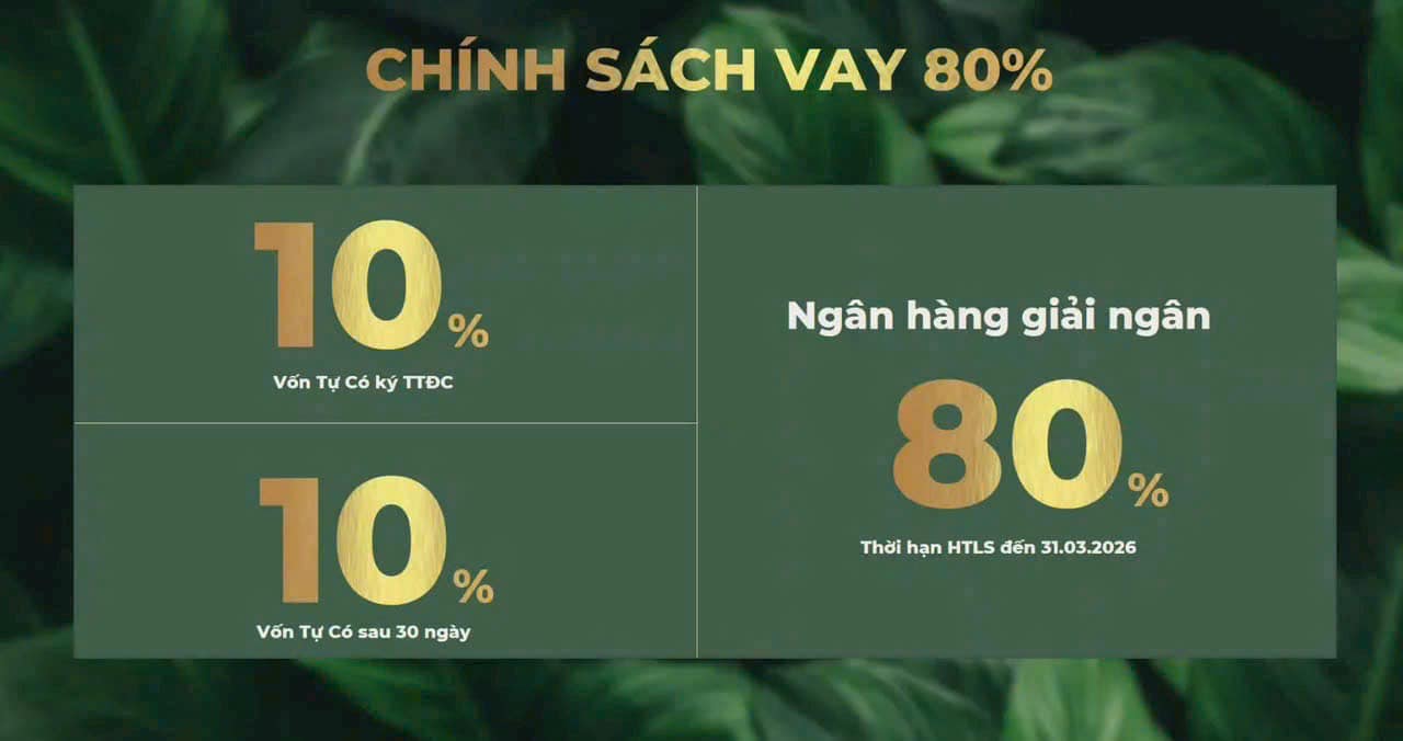 486525990_1020251793495736_6592320287545884014_n 486525990_1020251793495736_6592320287545884014_n